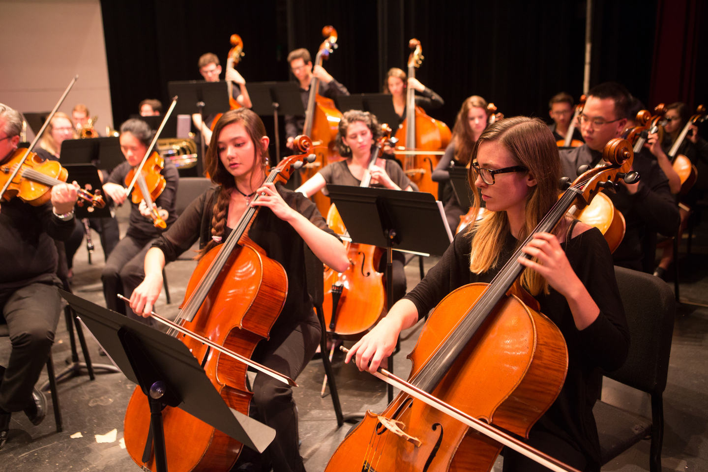 Chamber Orchestra Cello Section