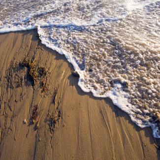 Ocean Wave Photo Credit: Matt Perko